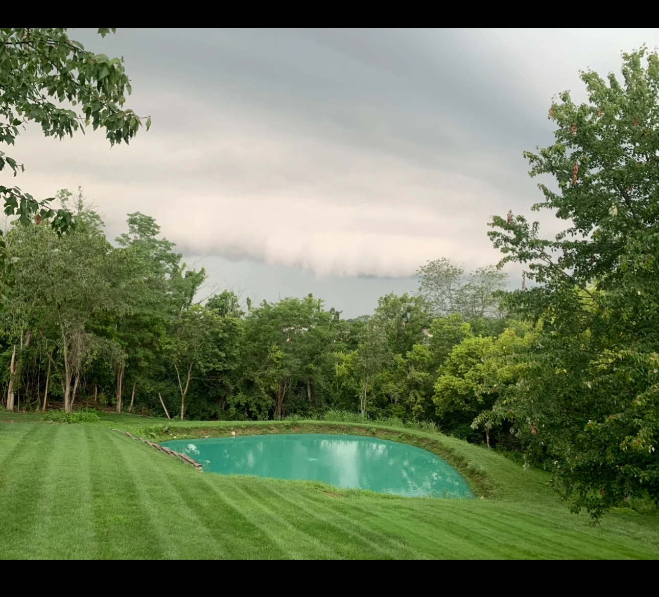 Pond hydroseeding result